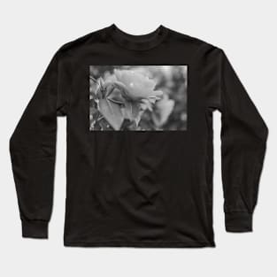 Close up and soft focus of camelia flower Long Sleeve T-Shirt